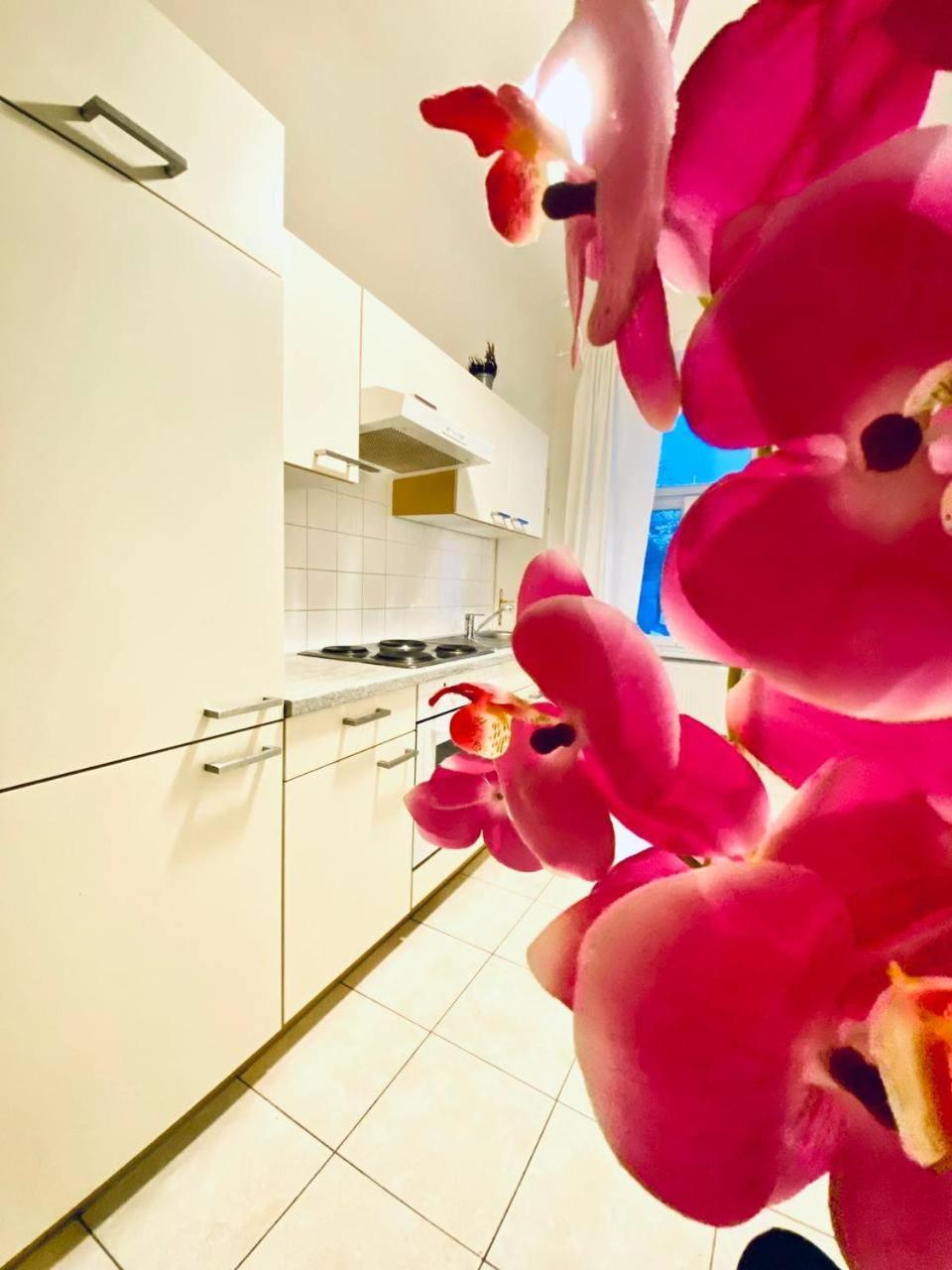 Family Apartment Th8 8 비엔나 외부 사진